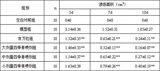 Folium ilicis chinensis spray for treating traumatic ulcer