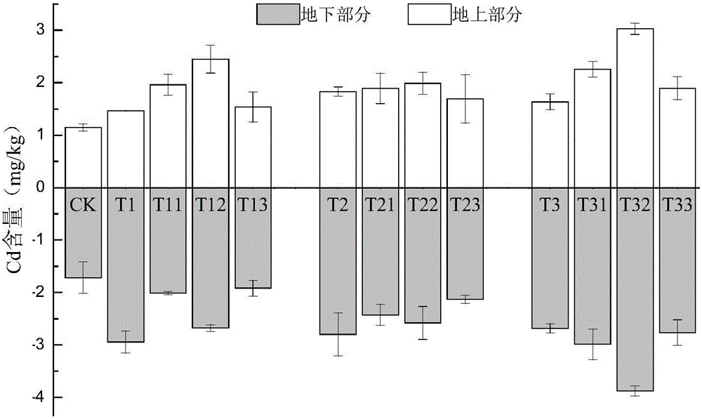 Cadmium pollution repairing agent and application thereof in plant combined remediation of farmland soil