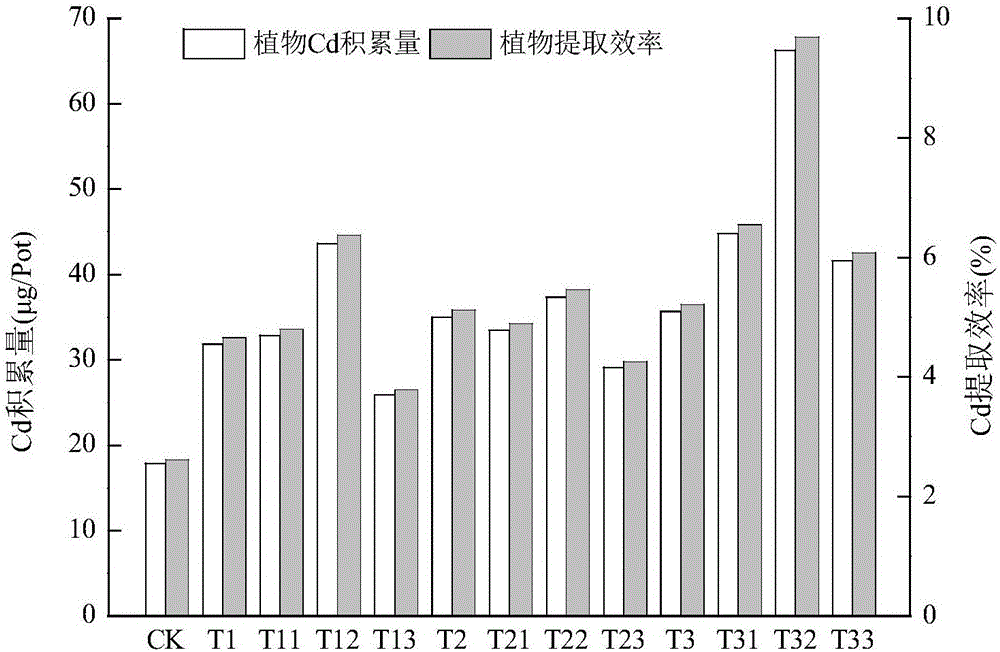 Cadmium pollution repairing agent and application thereof in plant combined remediation of farmland soil