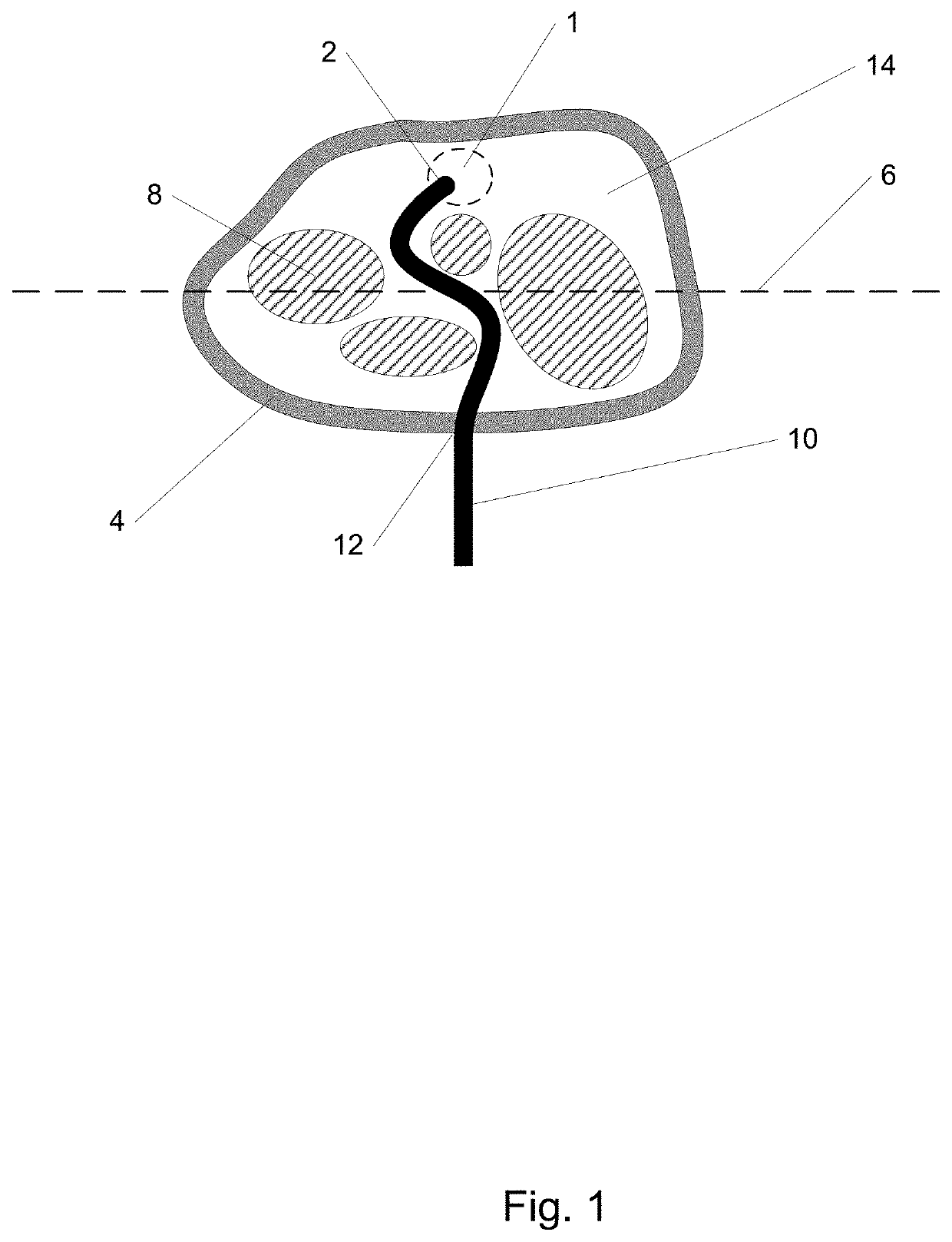 Steerable extendable devices