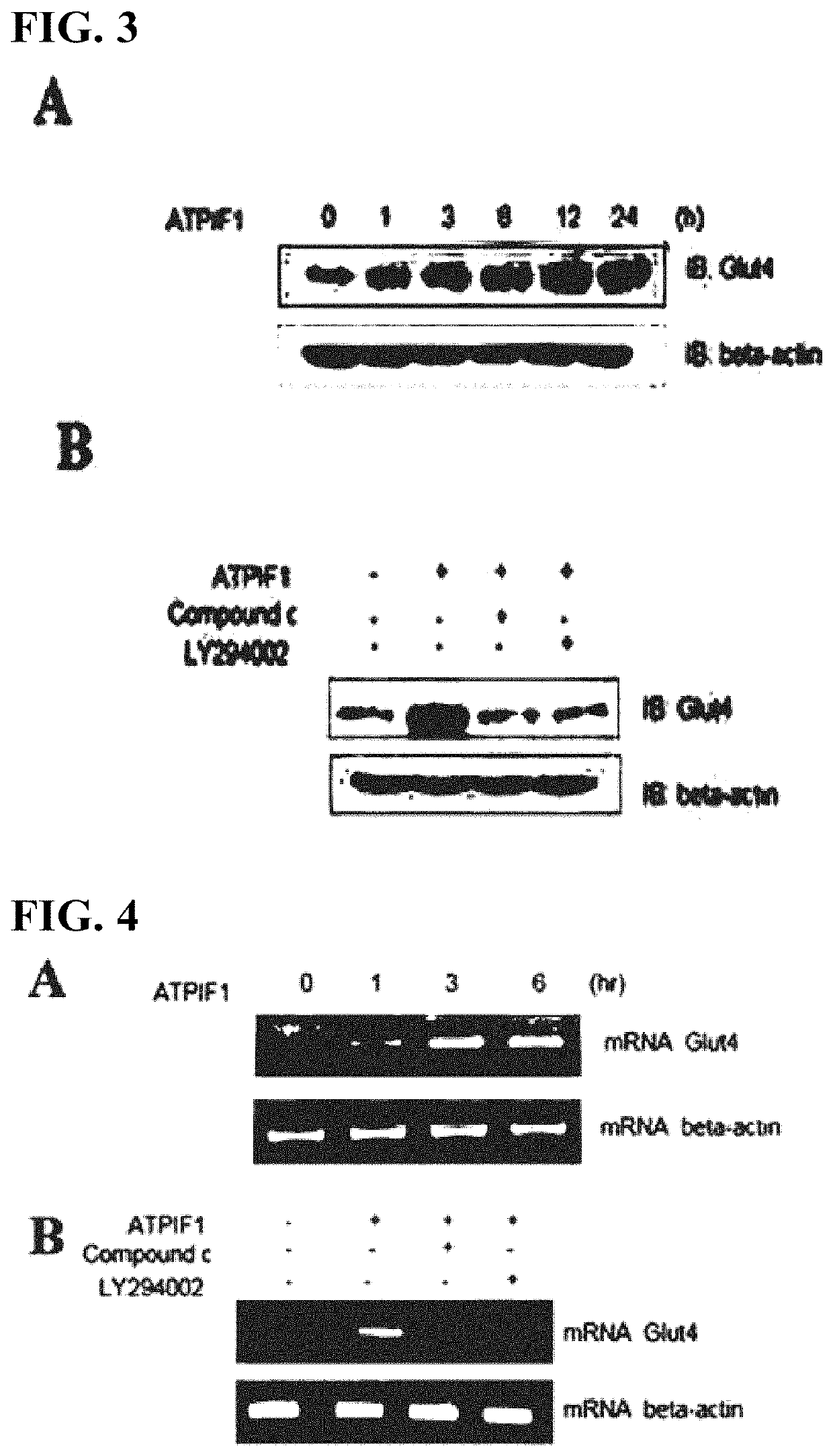 Pharmaceutical composition containing atpif1 for treatment of diabetes