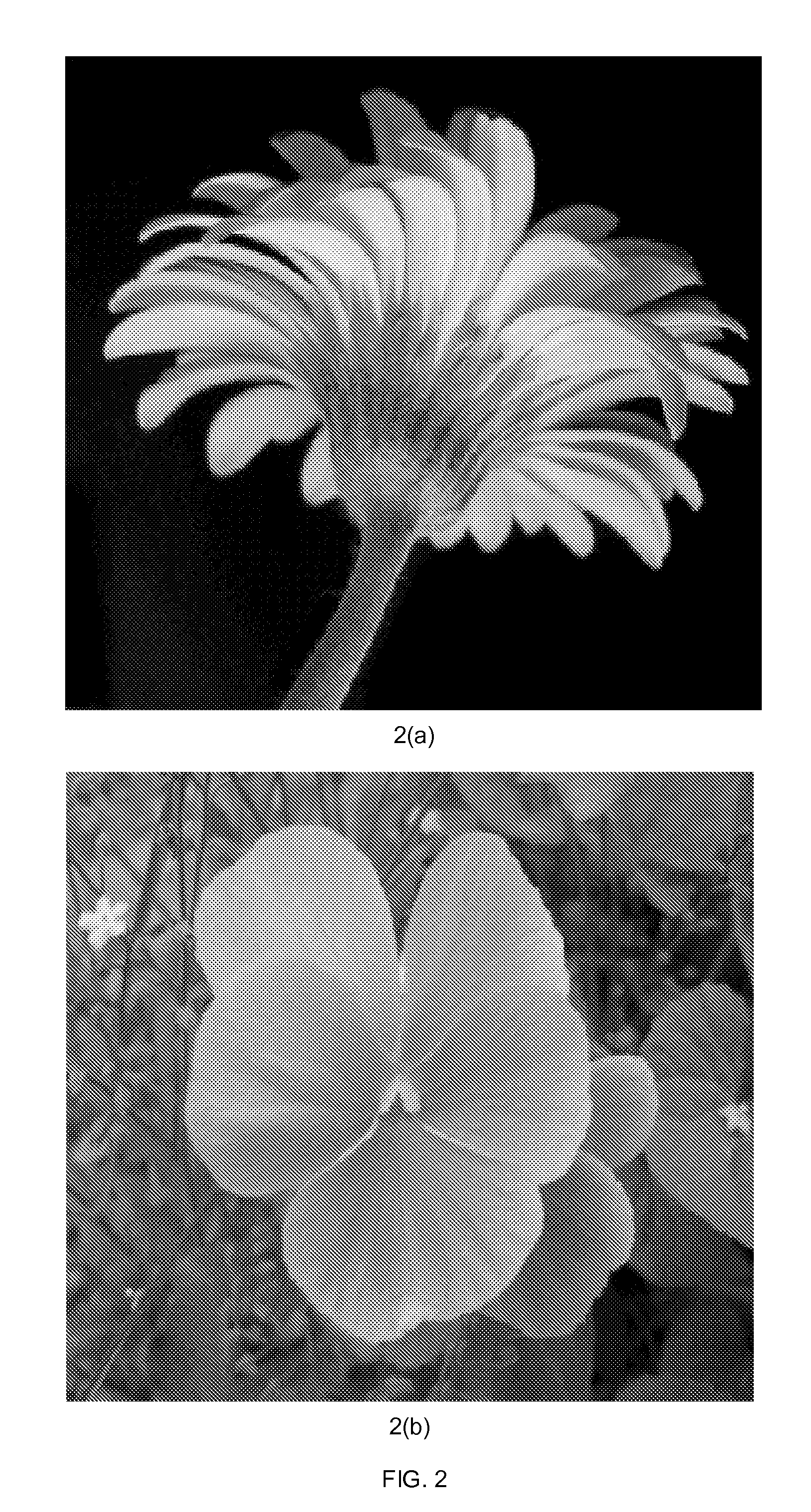 Systems and methods for unsupervised local boundary or region refinement of figure masks using over and under segmentation of regions