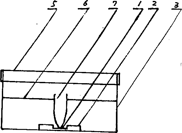 Cell 'pungent edge inhibition effect' and contact inhibition observation dishware and its application