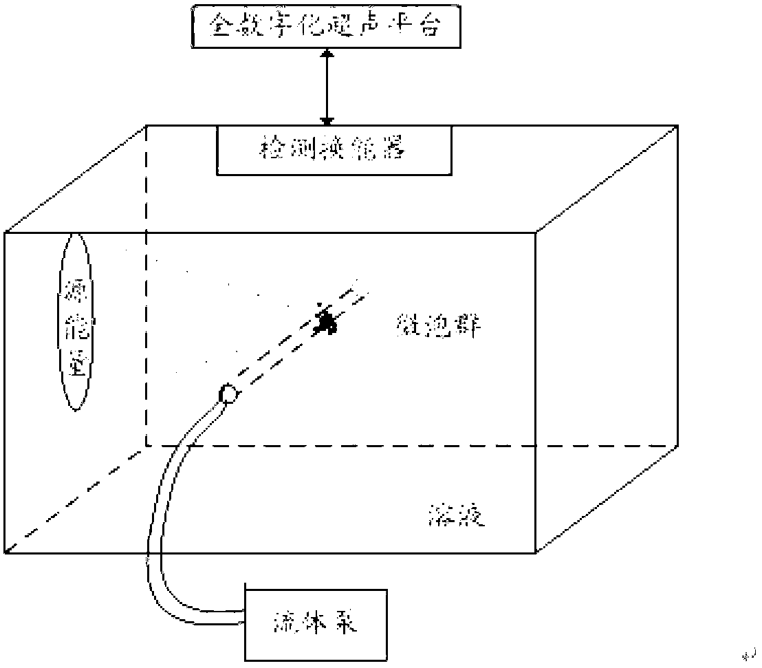 Cavitation micro-bubble high signal-to-noise ratio ultrasonic rapidly imaging and dynamic dimension distribution estimating method