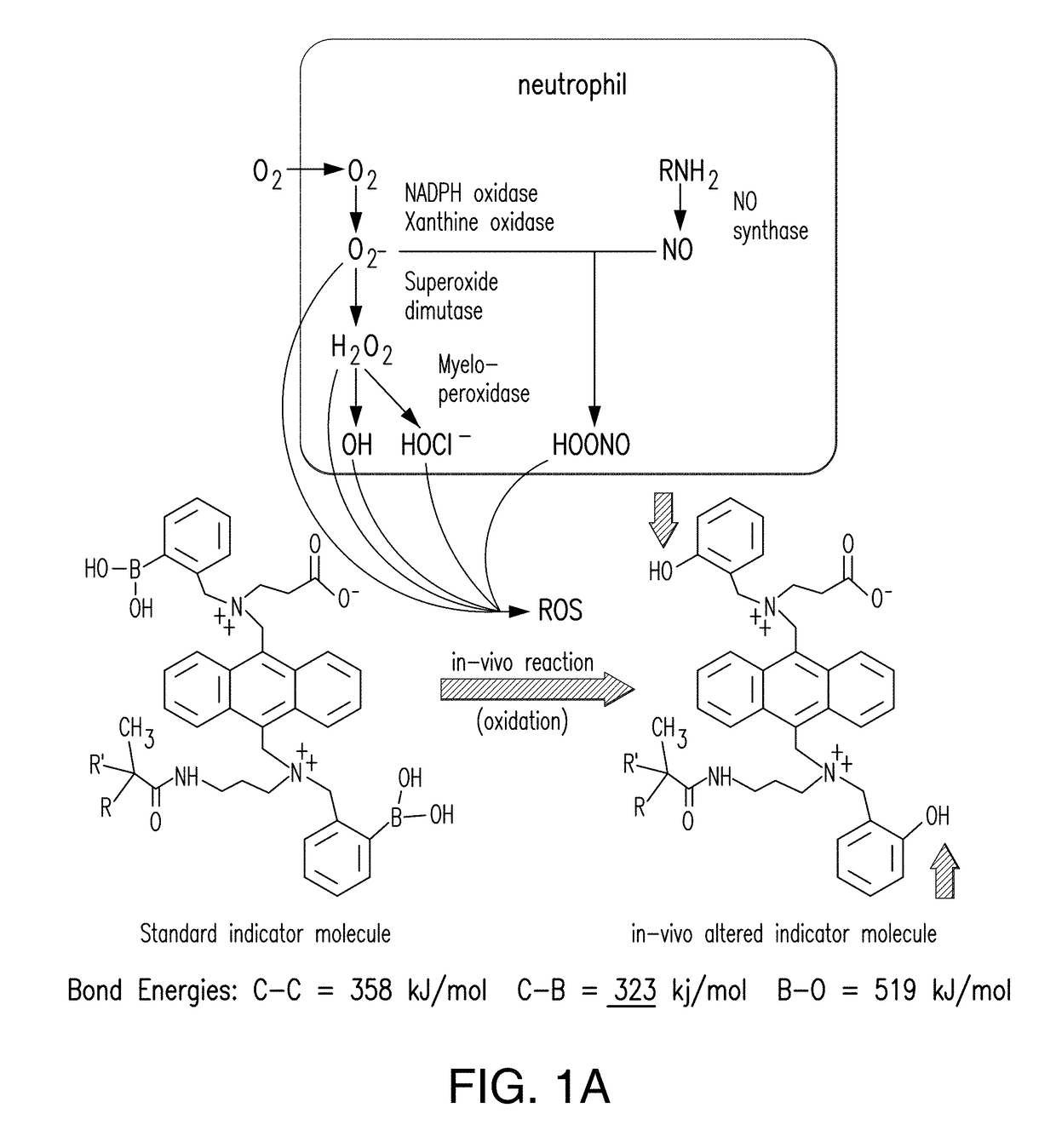 Integrated catalytic protection of oxidation sensitive materials