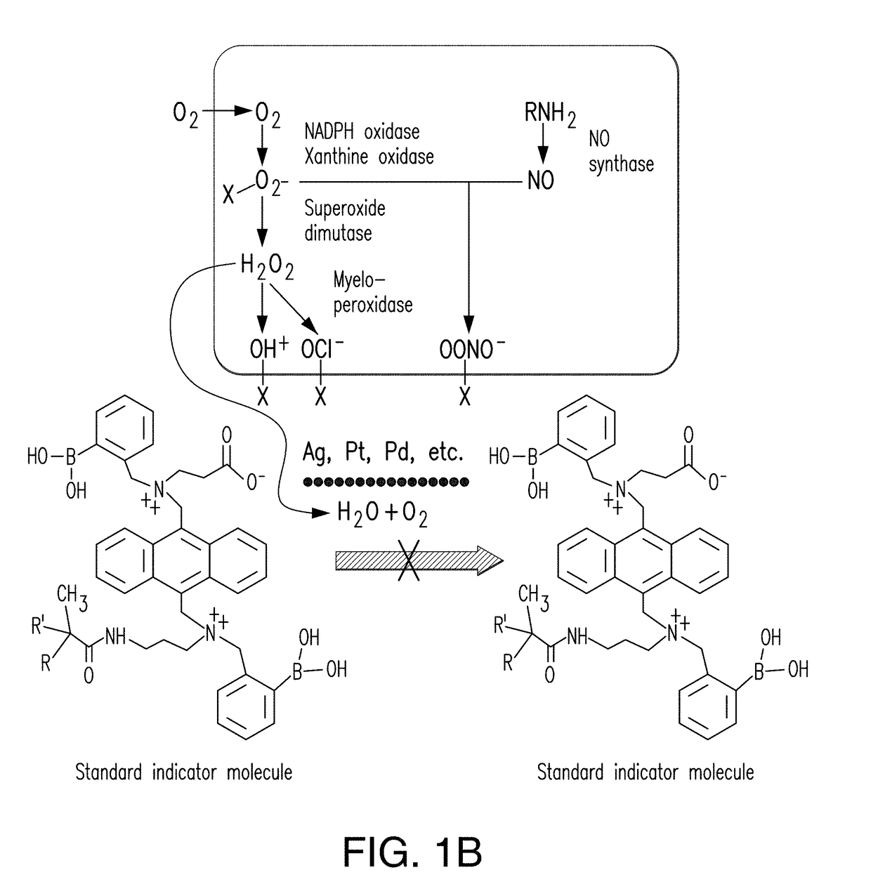 Integrated catalytic protection of oxidation sensitive materials