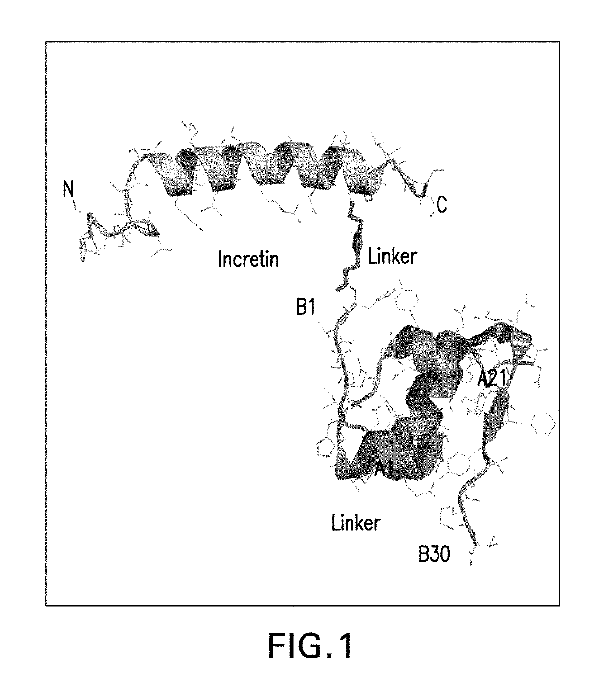 Insulin-incretin conjugates