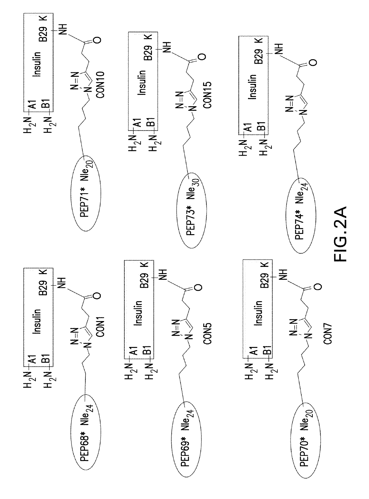 Insulin-incretin conjugates