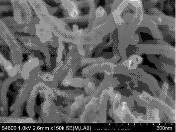 Process for treating porous carbon supports for noble metal catalysts