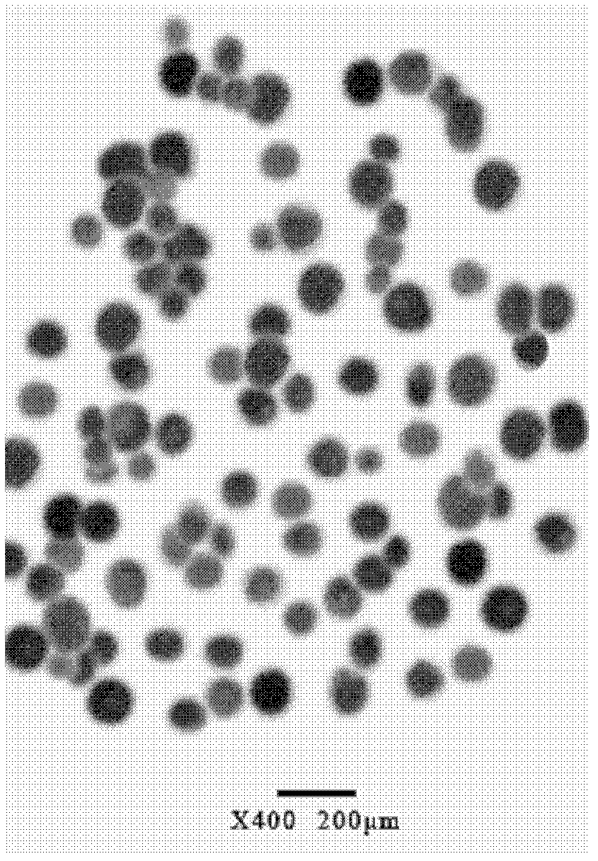 Calcium carbonate, rubber and polyvinyl chloride composition and preparation method thereof