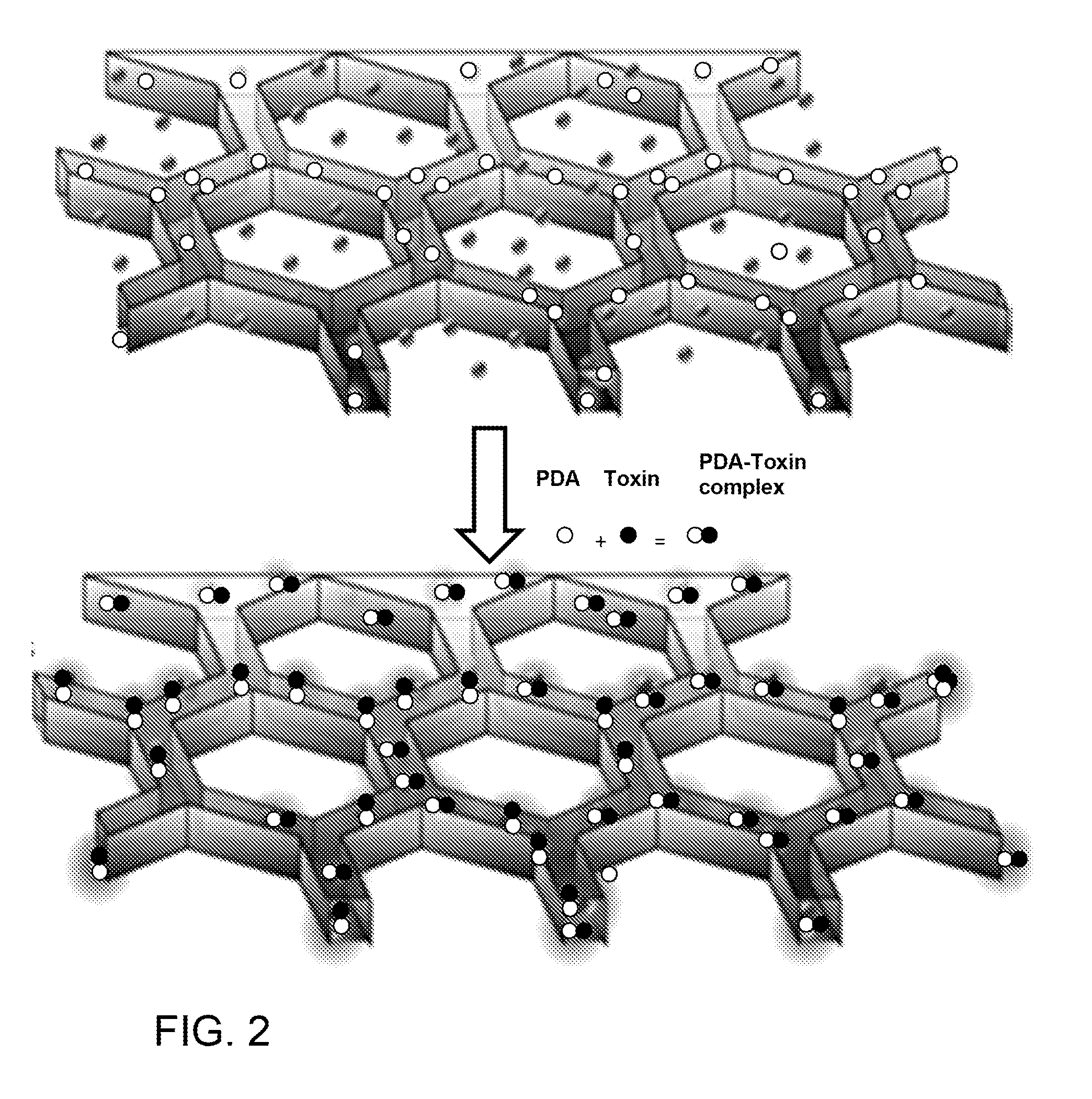 Liver-mimetic device and method for simulation of hepatic function using such device