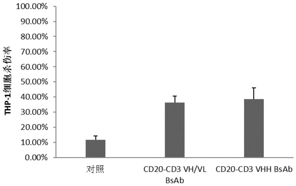 Bispecific antibodies and uses thereof to treat cancer