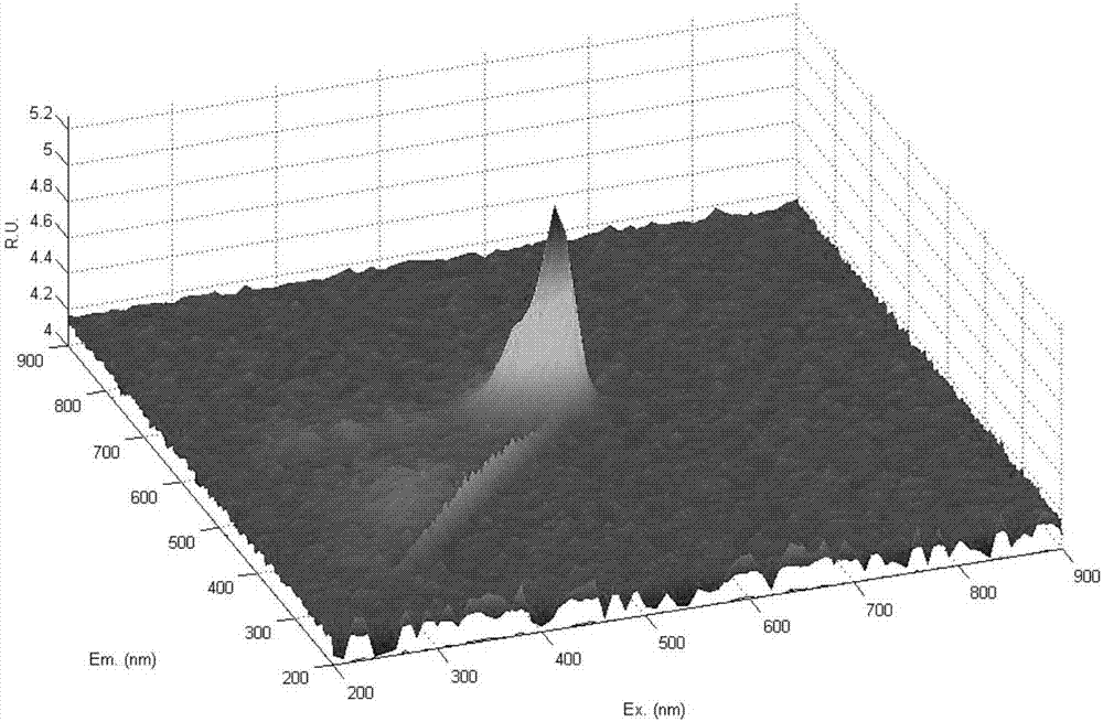 Method for rapidly detecting rhodamine B in foods