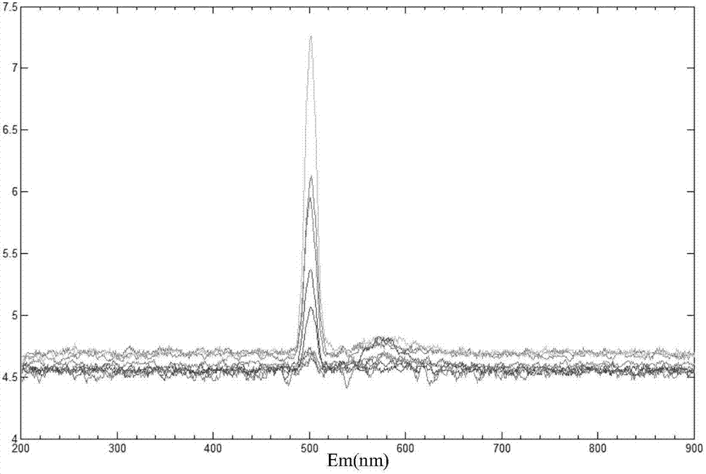 Method for rapidly detecting rhodamine B in foods