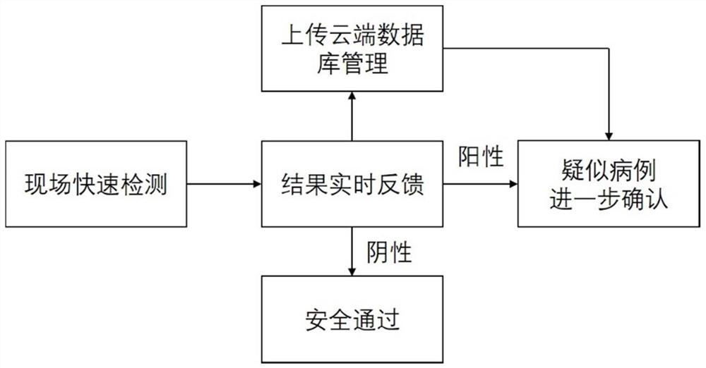 Rapid screening system, device and method for on-site epidemic prevention detection