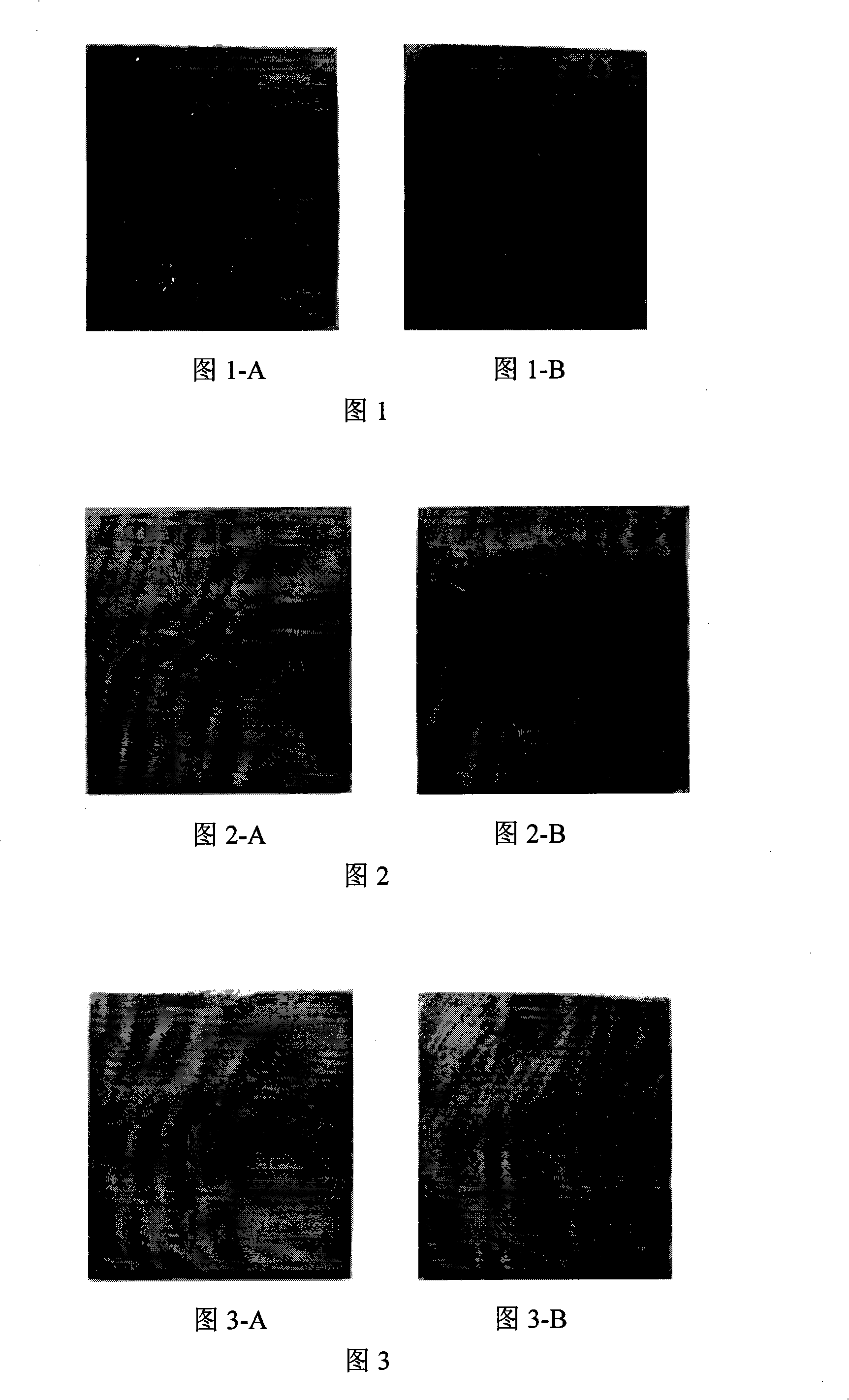 Low nickle type austenitic stainless steel and manufacturing method thereof