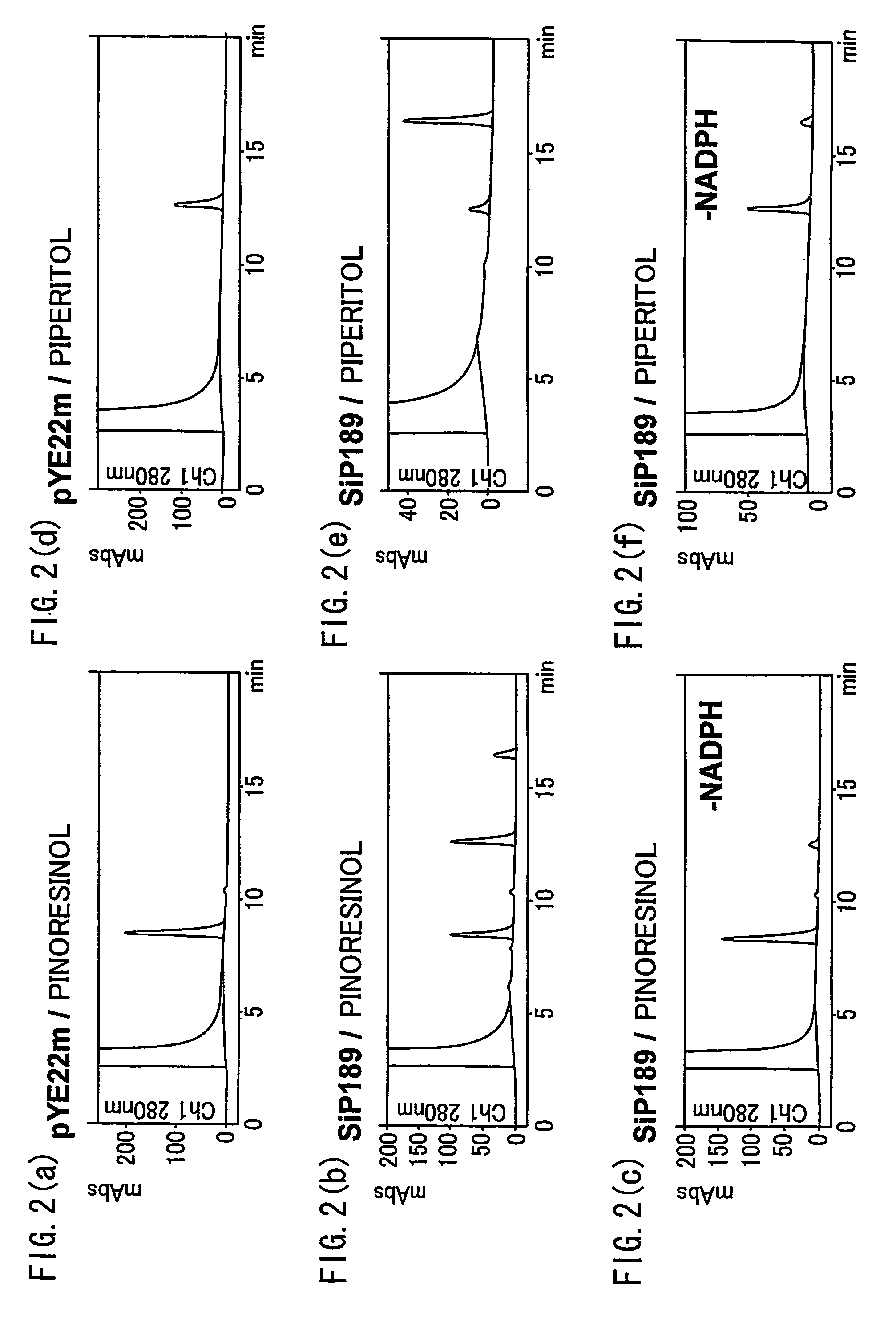 Gene encoding an enzyme for catalyzing biosynthesis of lignan, and use thereof