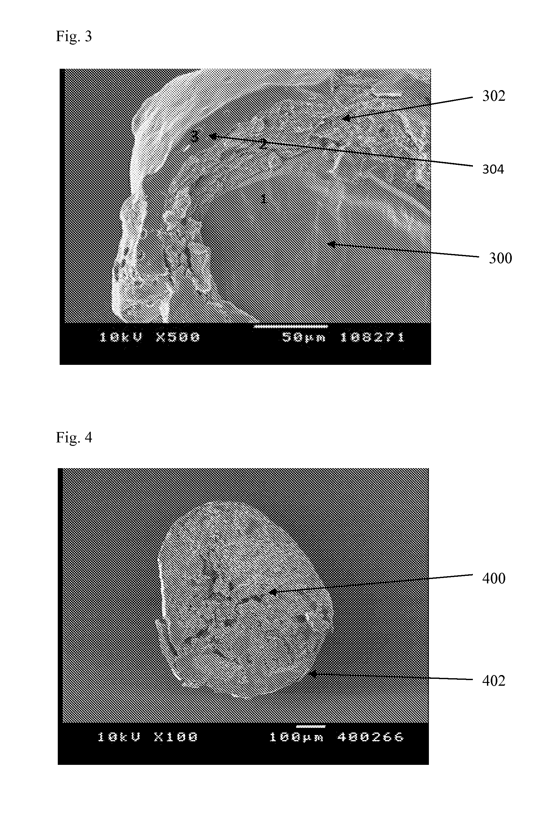 Hydrophilic matrix beadlet compositions with enhanced bioavailability