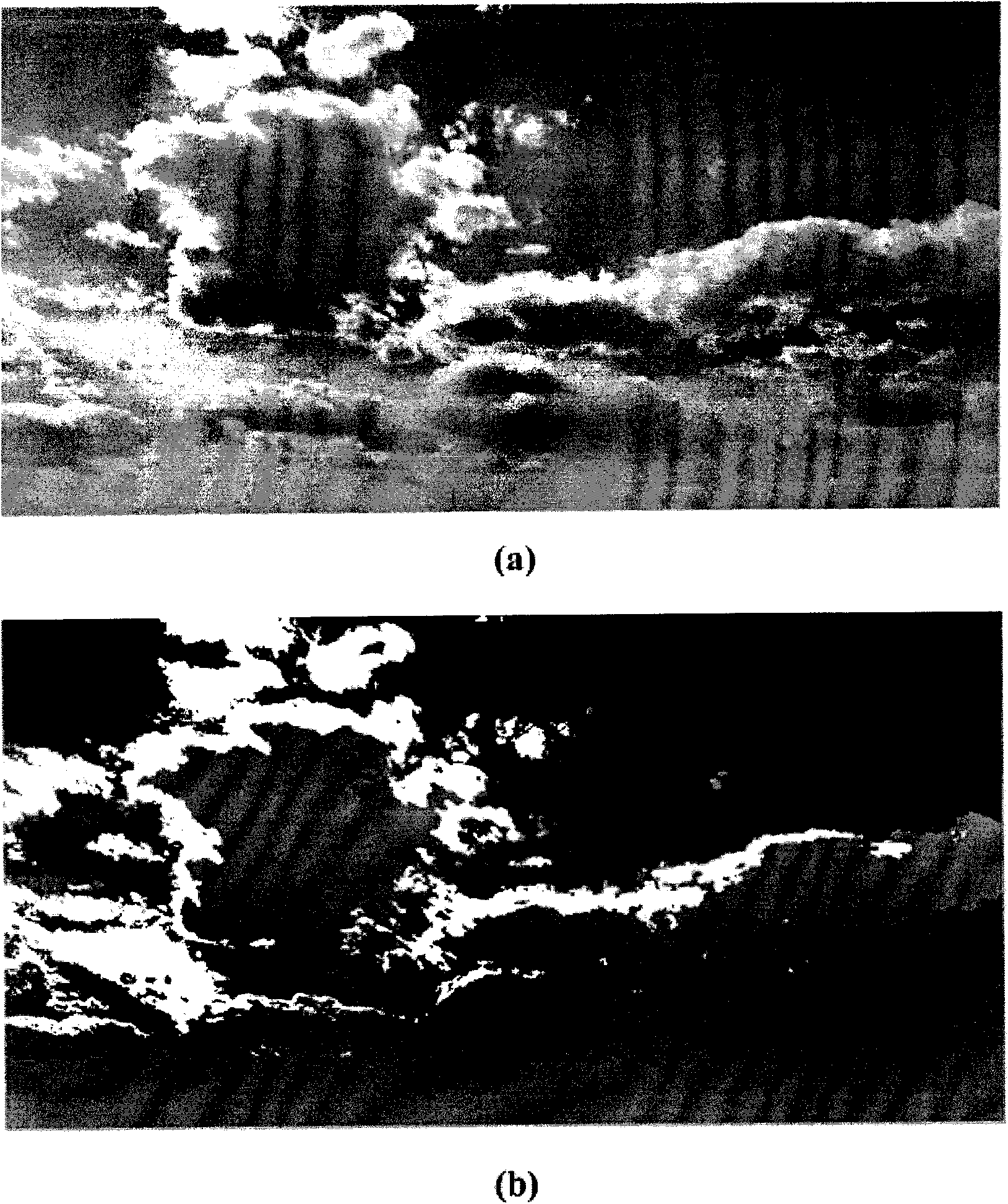 Method for extracting and retrieving textural features from ground digital nephograms