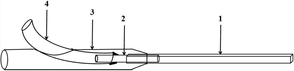 Method of cryopreserving Schwann cells by using supramolecular hydrogel in restricted space