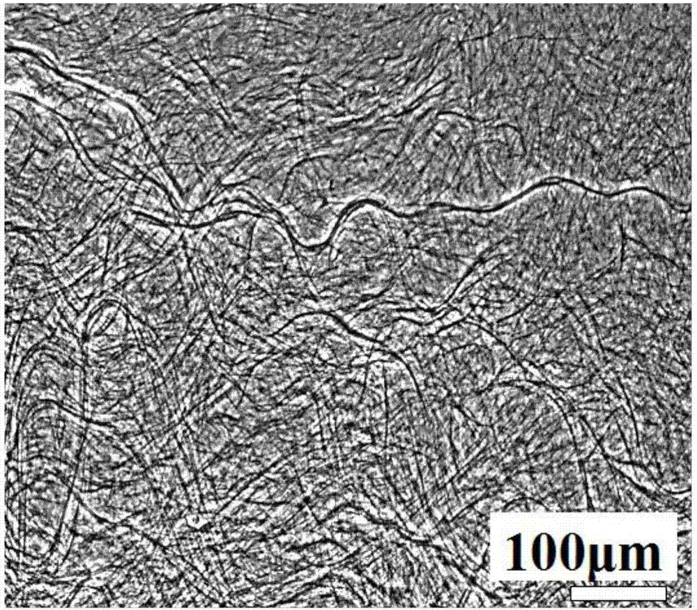 Method of cryopreserving Schwann cells by using supramolecular hydrogel in restricted space