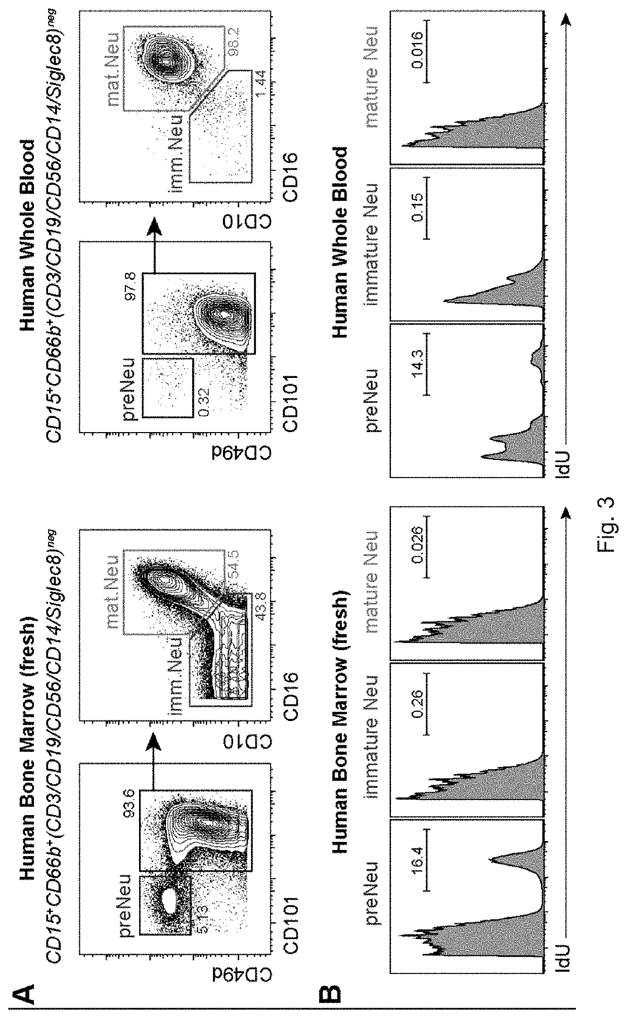 Neutrophil subtypes