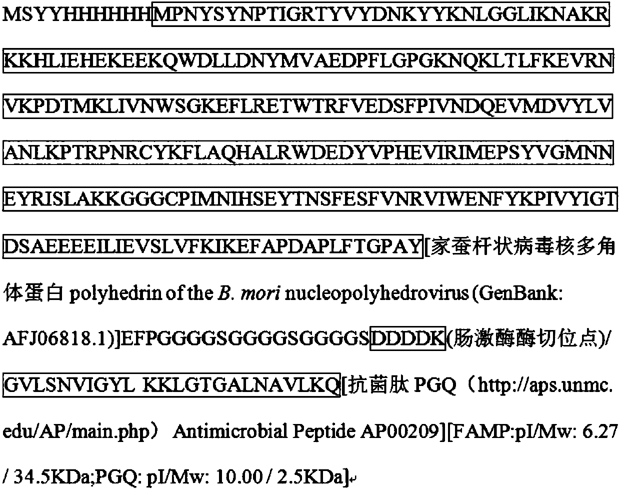 Gene of encoded antibacterial peptide, gene of fusion protein and recombinant vector