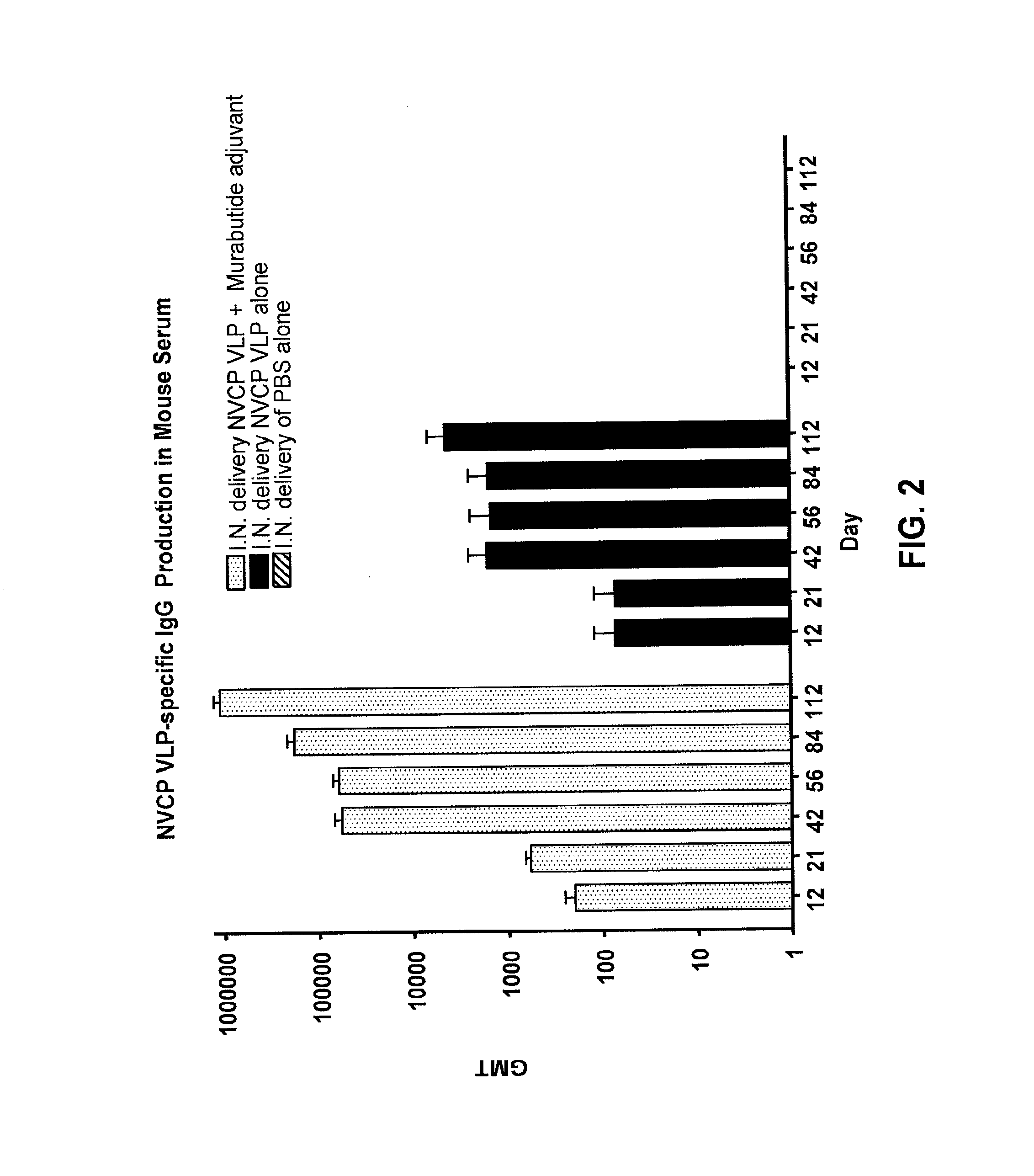 Mucosal Immunization