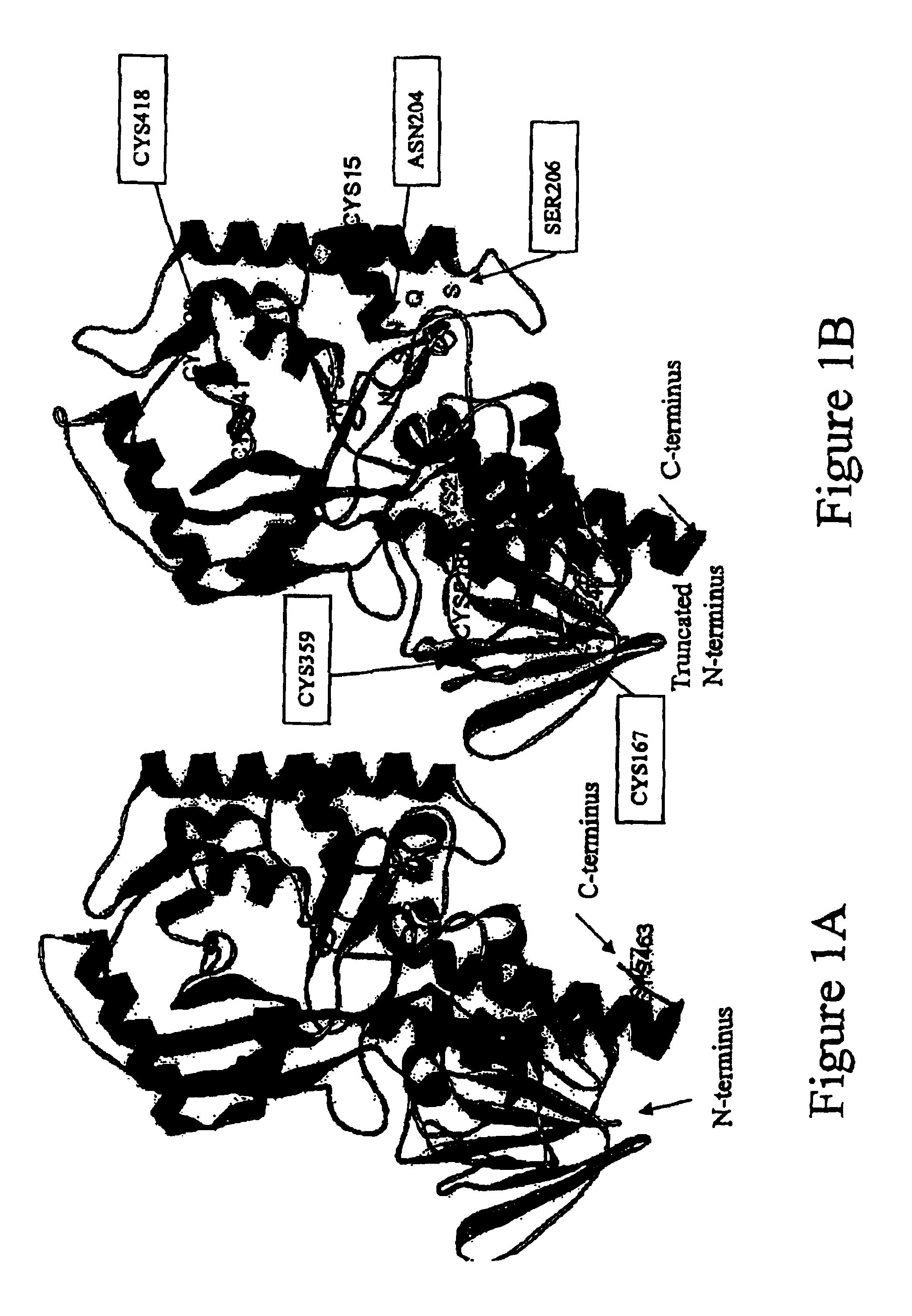 Amino polyol amine oxidase polynucleotides and related polypeptides and methods of use