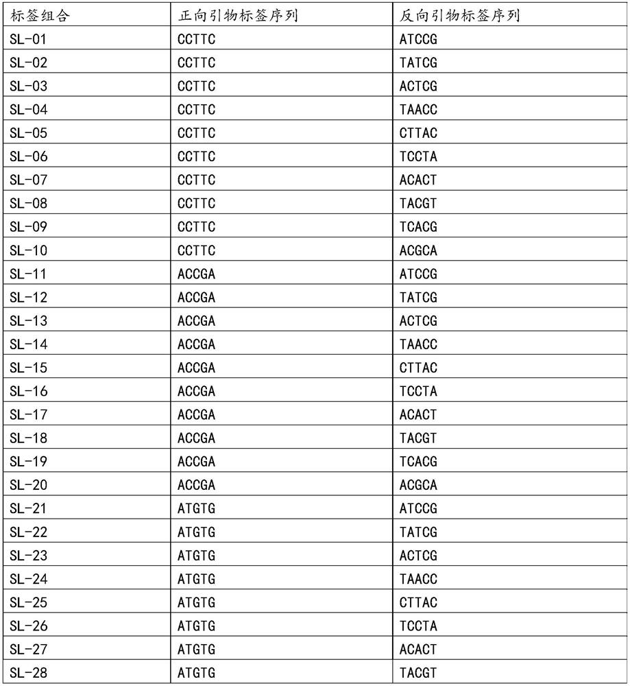 Mixed sample detection method for detecting purity of Chinese cabbage seeds based on mSNP technology