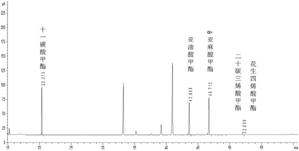 Rainbow trout fatty acid elongase gene, recombinant expression vector and application