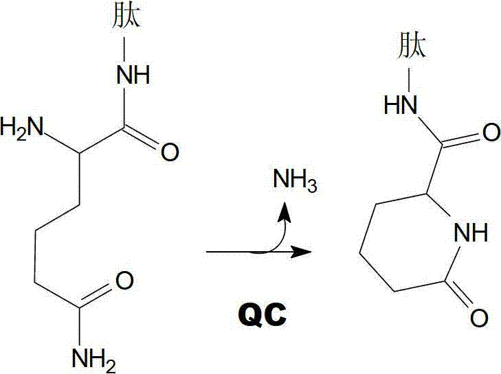 Heterocyclic inhibitors of glutaminyl cyclase (QC, EC 2.3.2.5)