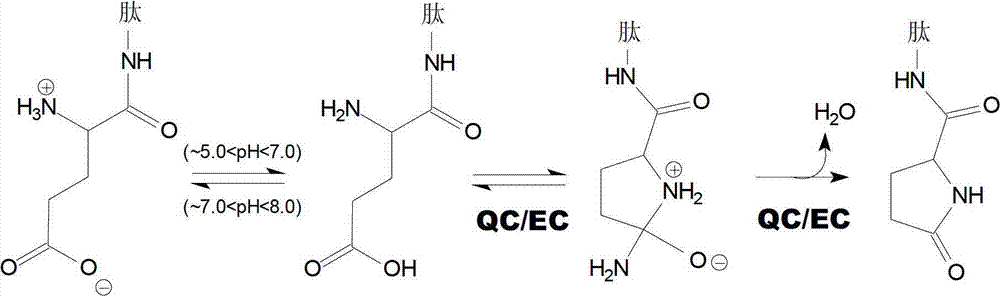 Heterocyclic inhibitors of glutaminyl cyclase (QC, EC 2.3.2.5)