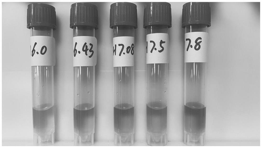 Culture type virus preserving fluid capable of being sterilized by irradiation