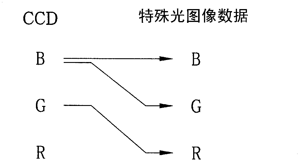 Electronic endoscope system