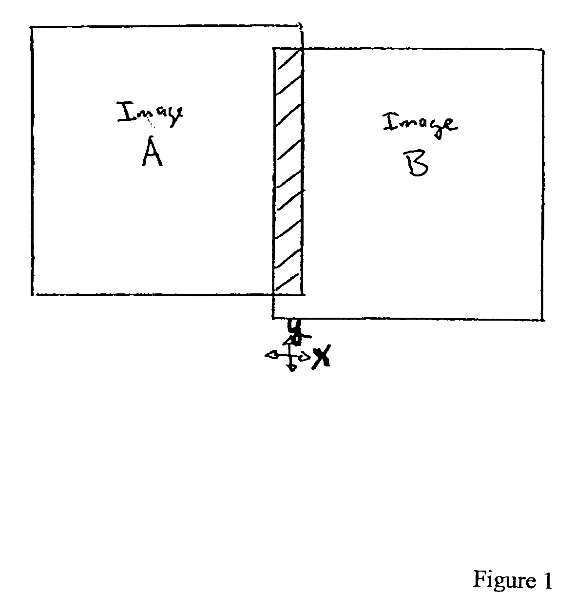 System for remote viewing and display of a slide