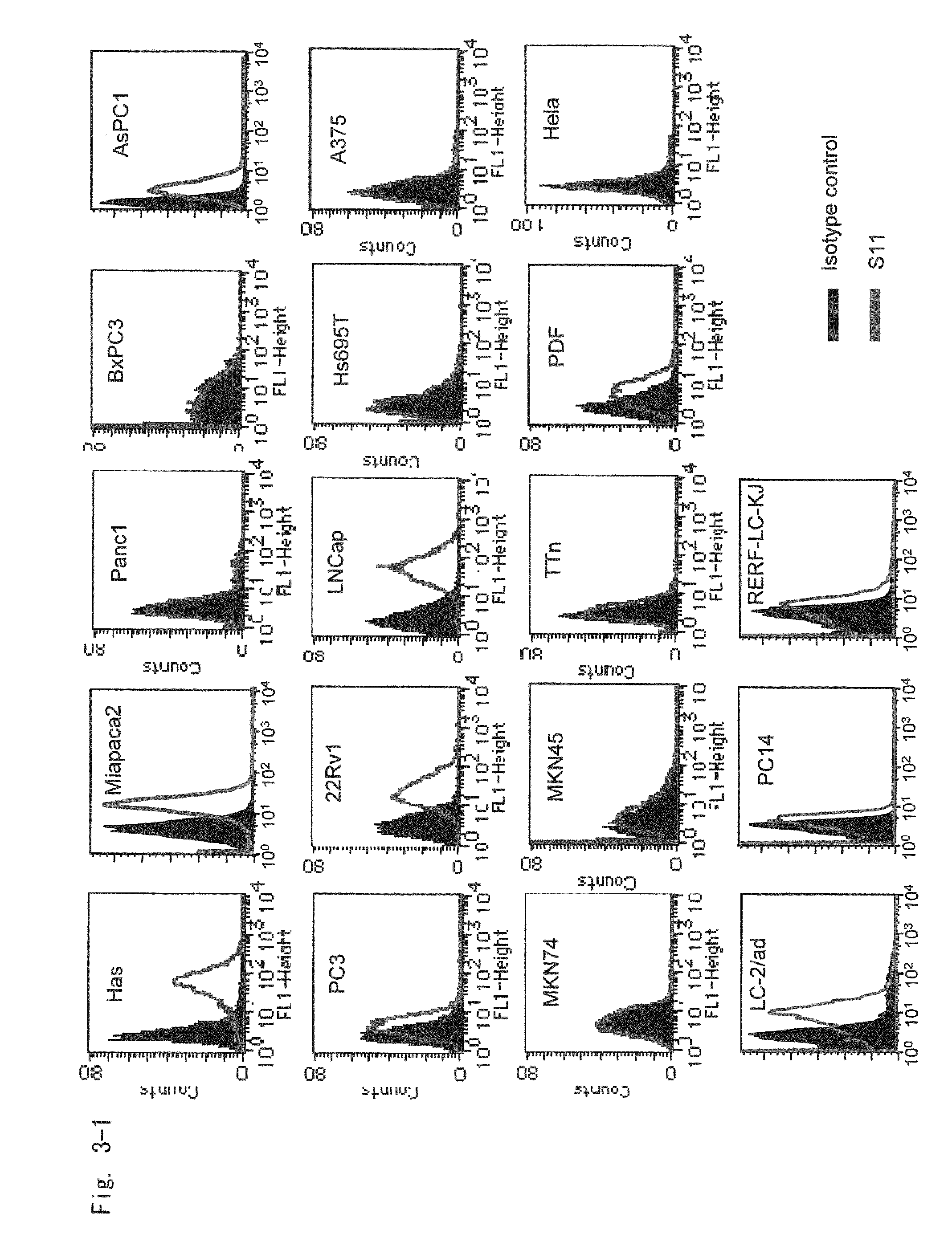 Antibody directed against PAP2a and use thereof for diagnostic and therapeutic purposes