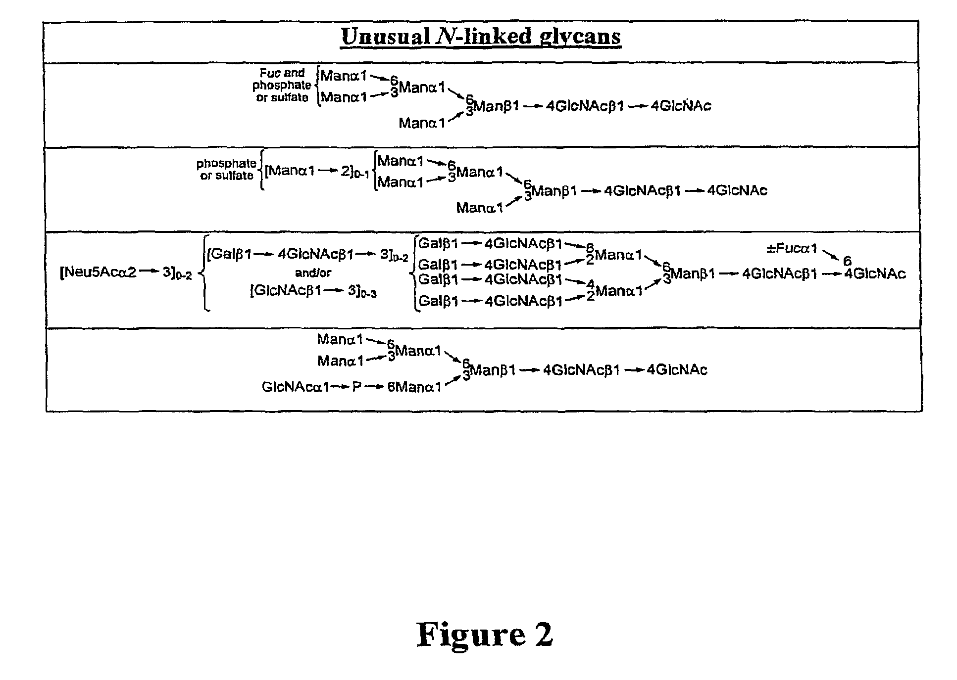 Compositions comprising homogeneously glycosylated erythropoietin