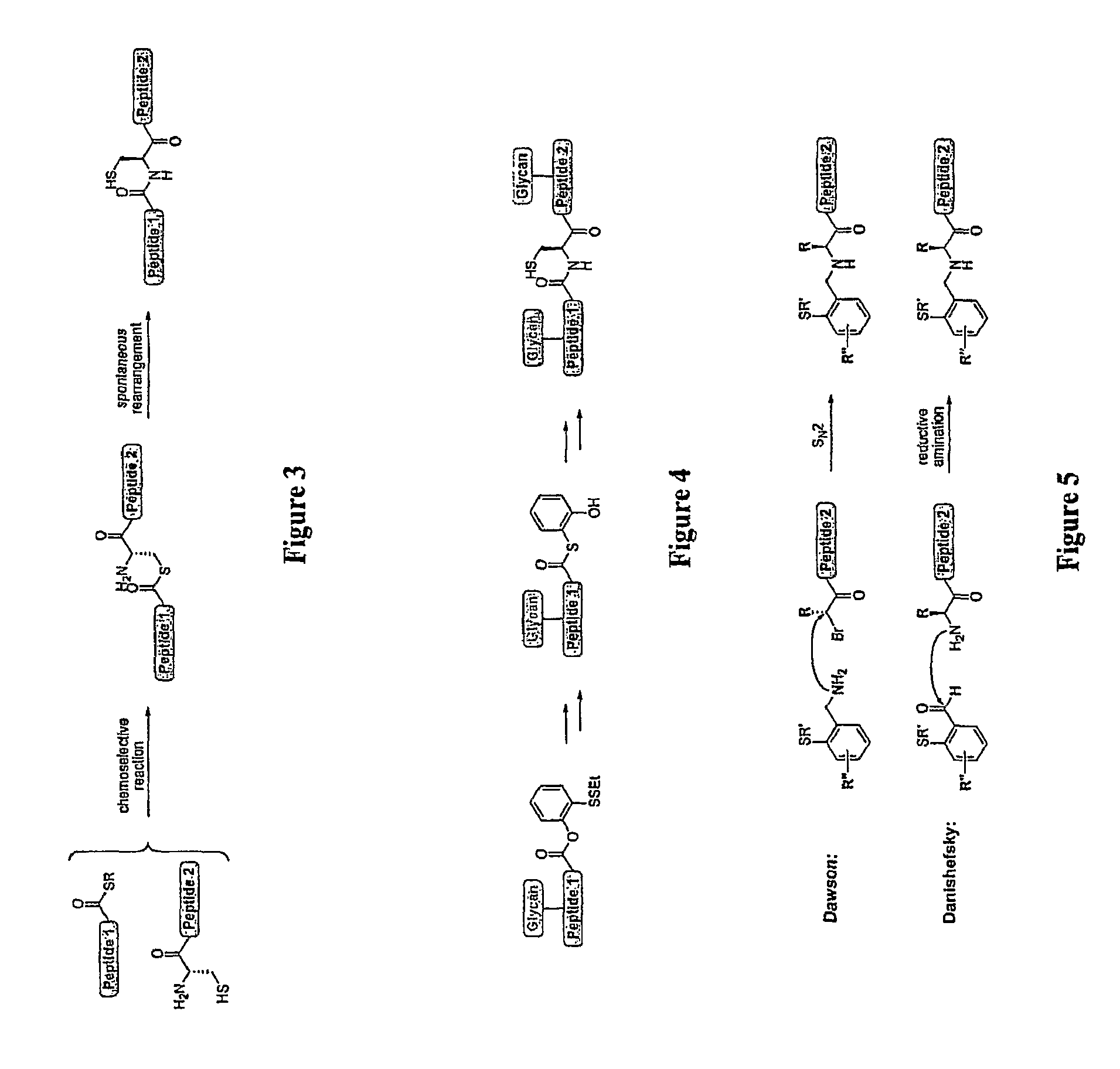 Compositions comprising homogeneously glycosylated erythropoietin