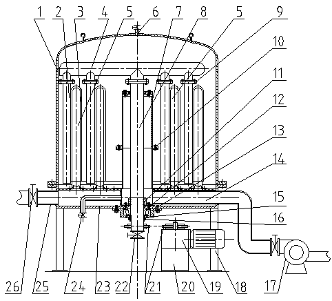 Swimming pool water filtration device
