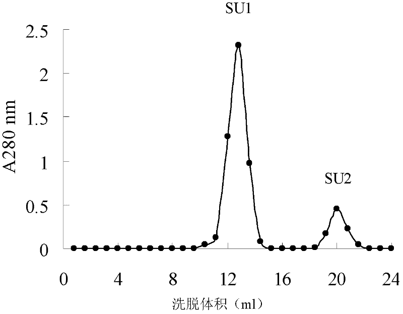 A kind of cicadae protease capable of inhibiting HIV-1 reverse transcriptase and its preparation method