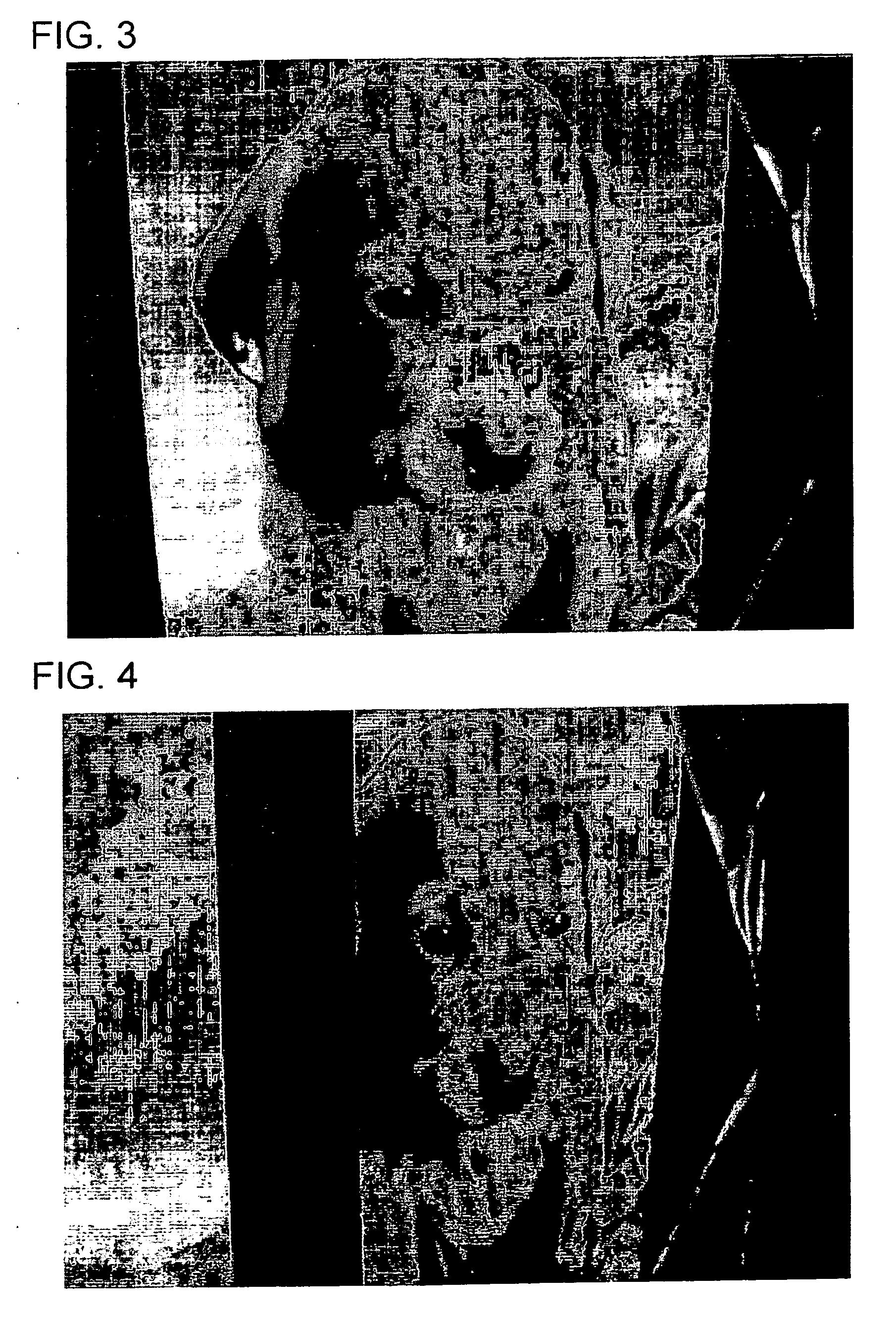 Rear surface projection type image display device