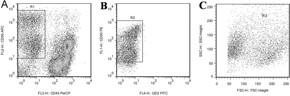 Fluorescent probes and kits for differential diagnosis of rhabdomyosarcoma and neuroblastoma bone marrow metastasis and leukemia by flow cytometry