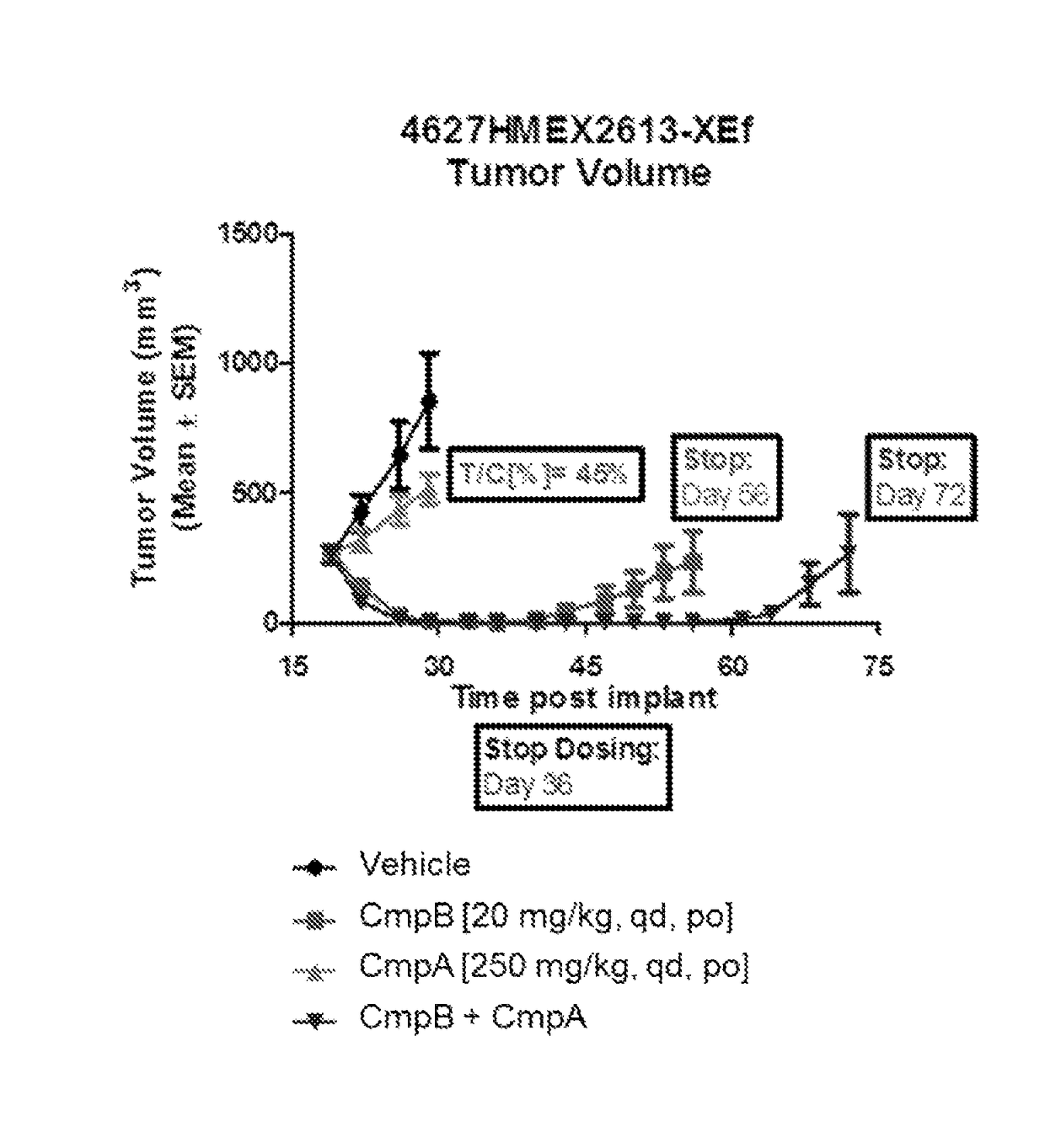 Pharmaceutical combinations of a CDK4/6 inhibitor and a B-RAF inhibitor