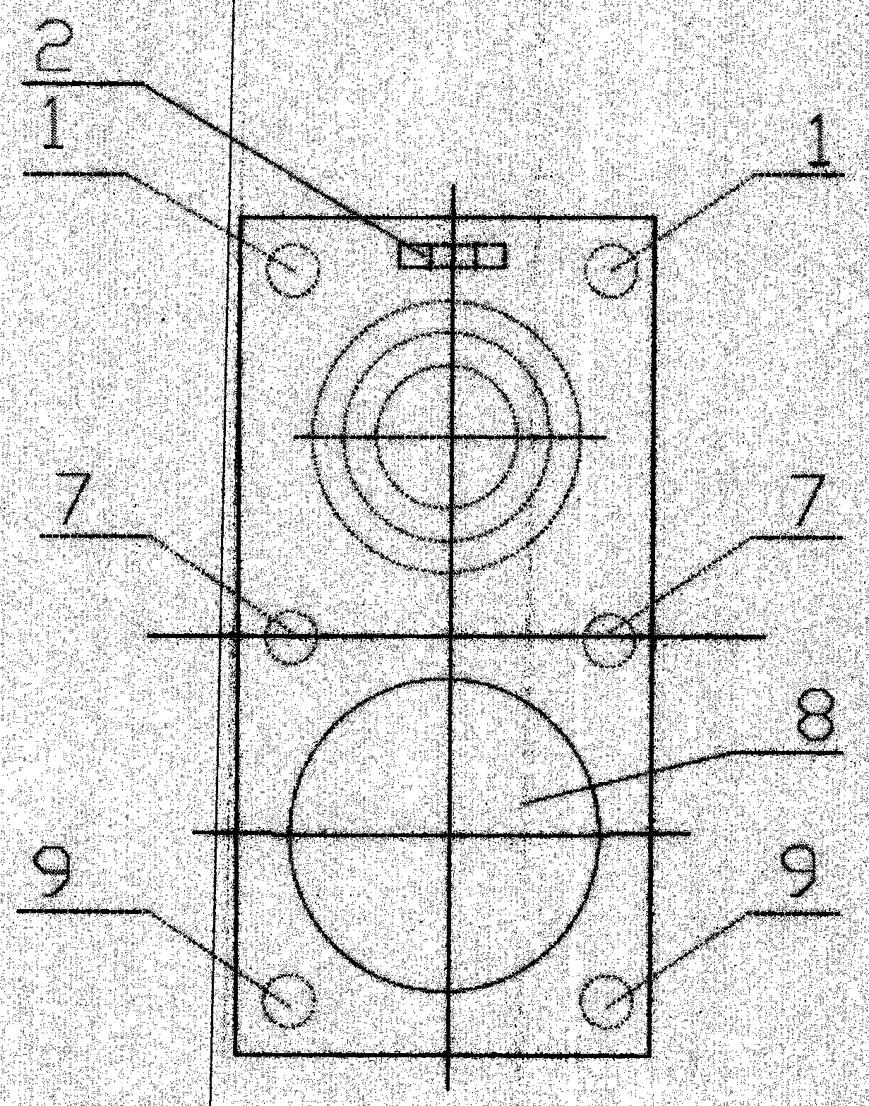 Hard sealing plane elastic gate plate pair