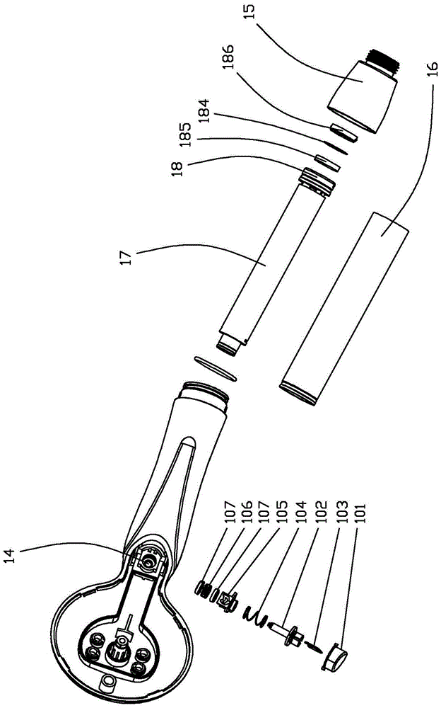 Switchable cosmetic shower head