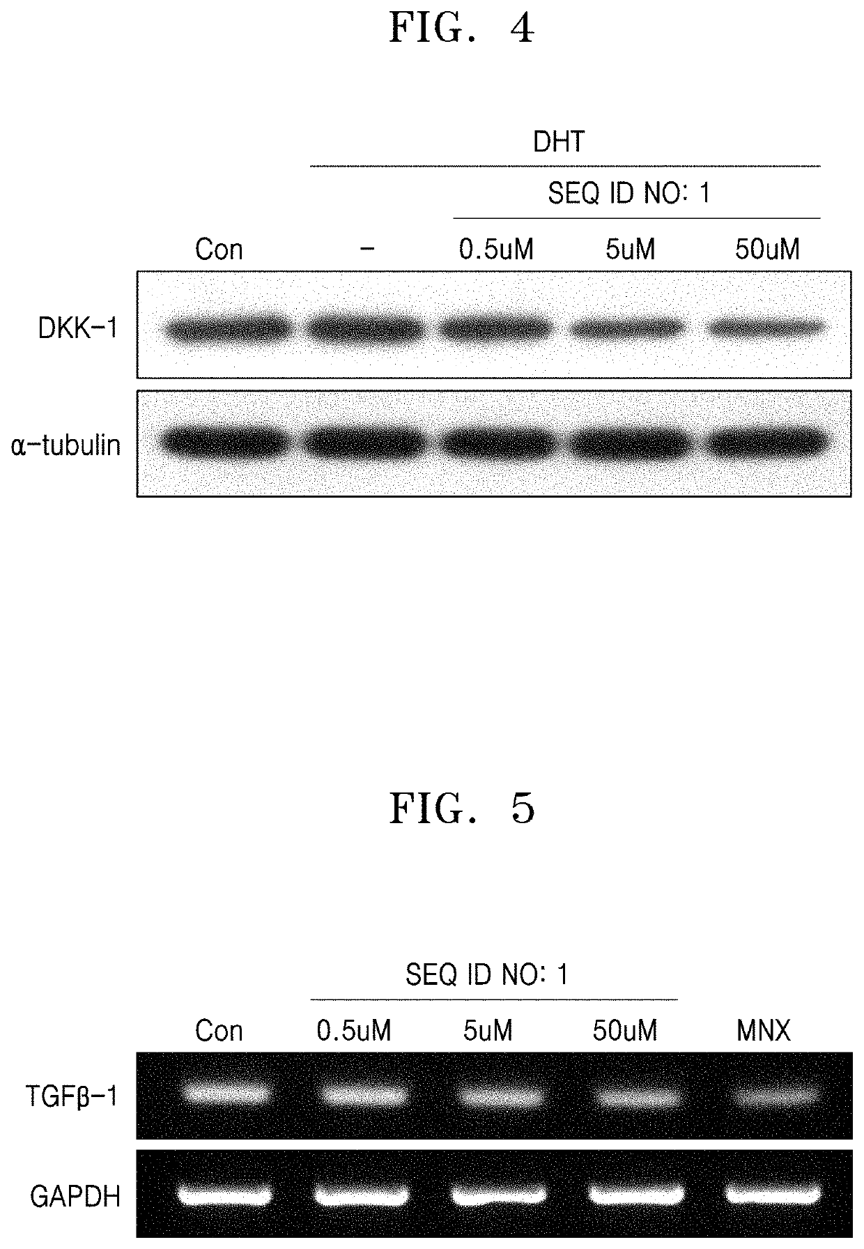 Peptide having hair growth promoting activity and use thereof