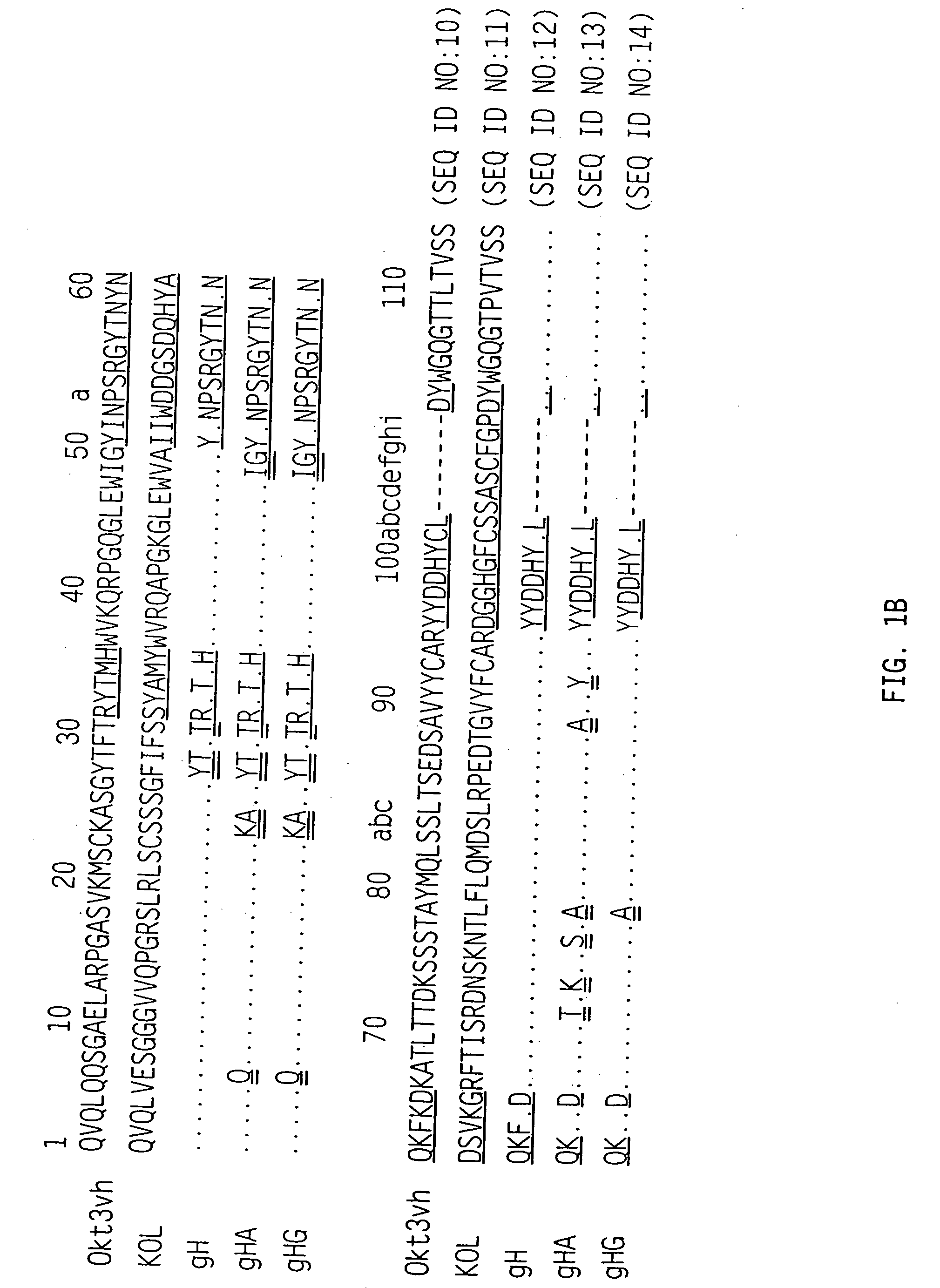 Methods and materials for modulation of the immunosuppressive activity and toxicity of monoclonal antibodies