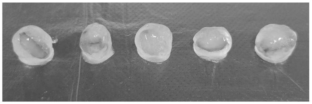 Pearl-like tapioca balls as well as preparation method and beverage thereof