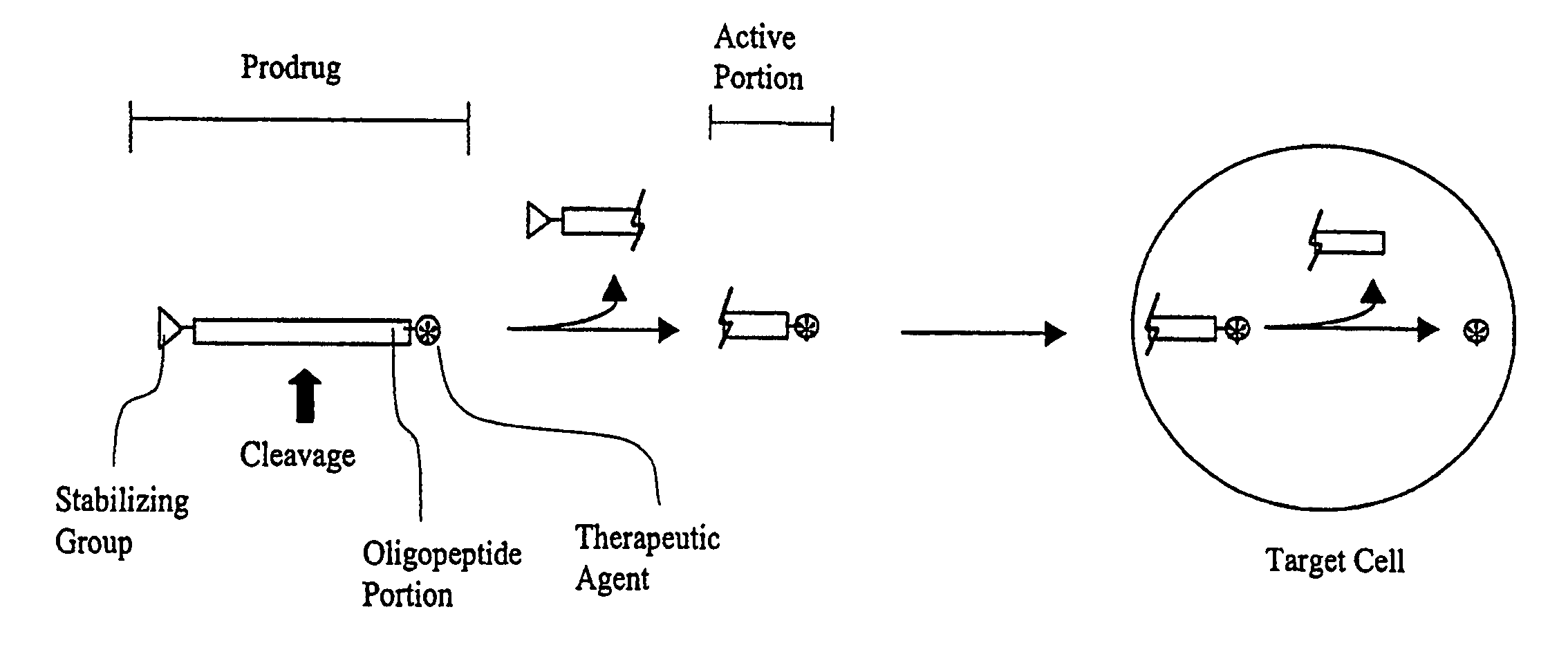 Prodrug compounds with isoleucine